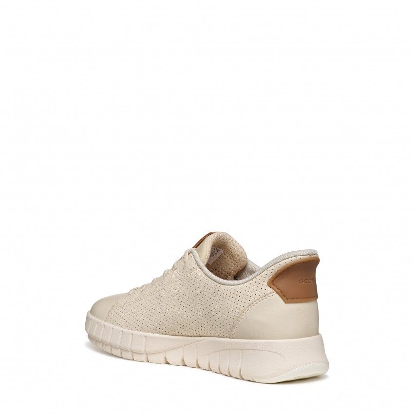 Casual GEOX