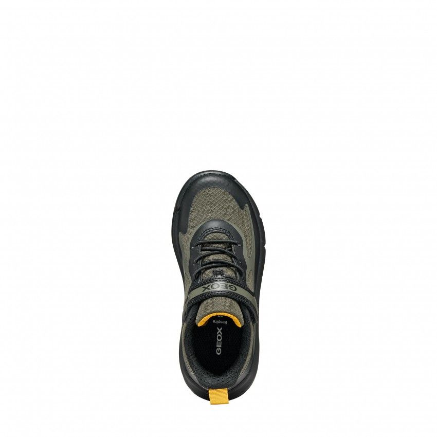 Sneakers GEOX