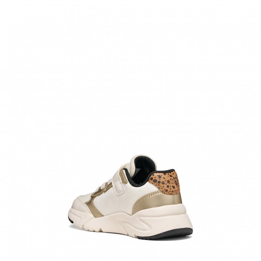 Casual GEOX