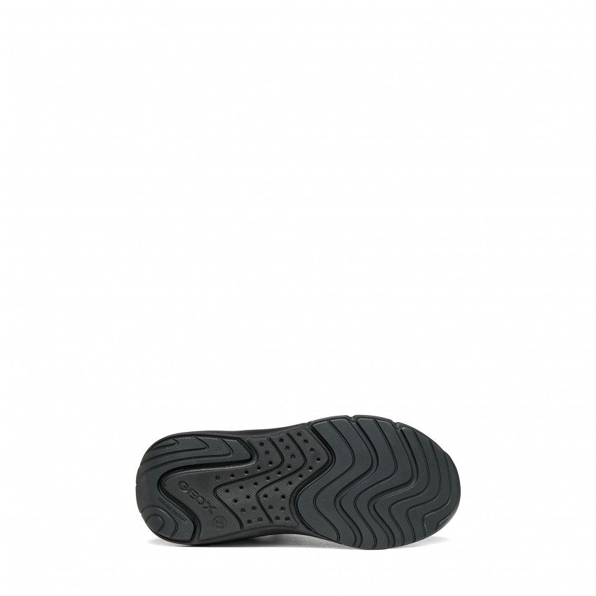 Sneakers GEOX