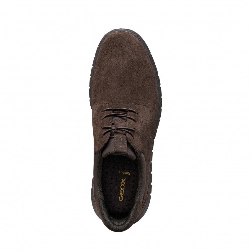 Casual GEOX