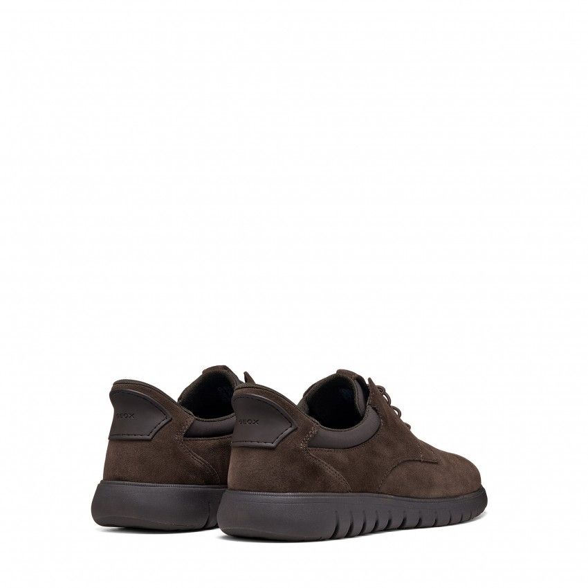 Casual GEOX